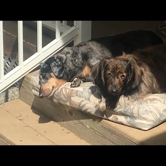 Meet your Posher, Angel - Picture 8 of 8